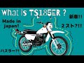 【What is TS185ER❓】ヴィンテージモトクロス✧話題の2スト新車✧もう手に入らないかも❓❗