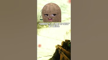 the average tarkov experience...