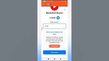 Blockchain Basics Cats Code | Blockchain Basics cats video code today