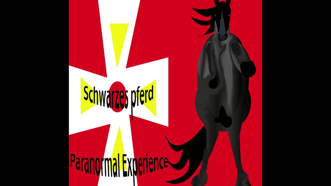 Chaos City - Schwarzes pferd