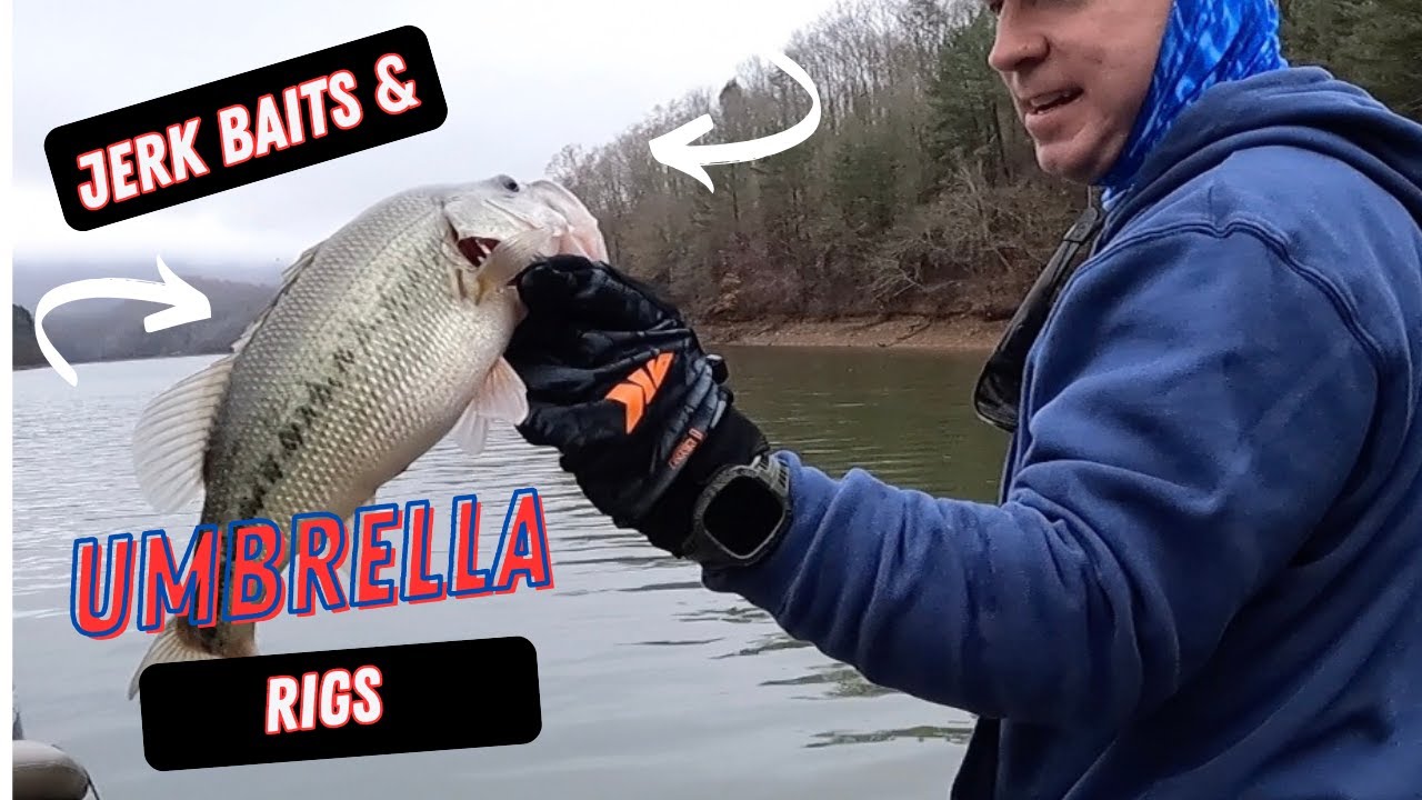Bass Fishing With UMBRELLA RIGS and JERKBAITS in the WINTER