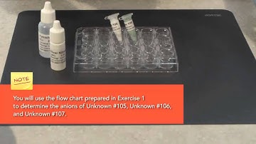 Chem Experiment 2 HOL Qualitative Cation Tests Flame