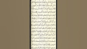 تلاوة سورة هود من الآية 46 إلى الآية 53