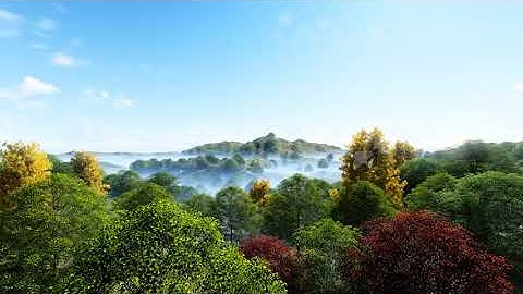 Foggy Forest In Hills | Motion Graphics - Envato elements