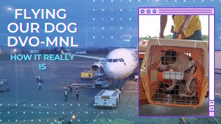 FLYING WITH OUR DOG | Travel With Pet | Philippines | Part 2