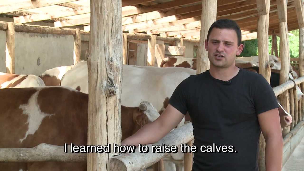 Ferma AgroVision, o experienta de neuitat