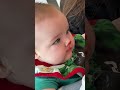 Reindeer Enzo!! giving food to Baby Enzo is getting messy when he puts his face in it haha