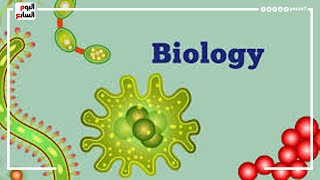 مراجعة فصل التكاثر فى الكائنات الحية.. مادة أحياء إنجليزى للثانوية العامة