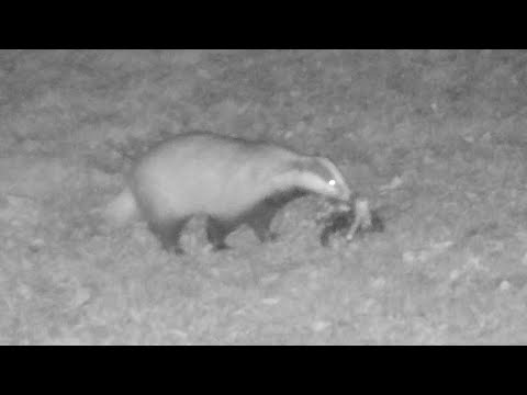 Biodiverzita v Zoo