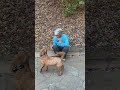 YOONGI,JIN,JIMIN AND TAEHYUNG PLAYING WITH STONEY 🐕🐕🐕