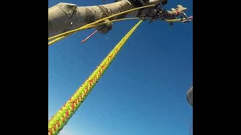 #drevoved #arborist #treeclimber #treework