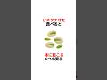 ピスタチオを食べると体に起こる6つの変化　#健康 #雑学 #プチ知識  #ピスタチオ #shorts #ショート