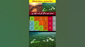 Sahara Desert and Amazon Rainforest Connection #amazonrainforest #shorts #viral #shortsfeed #short