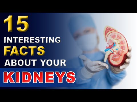 #15-interesting-facts-about-your-kidneys-(hindi)-|-unknown-facts-|-kidney-treatment-in-ayurveda