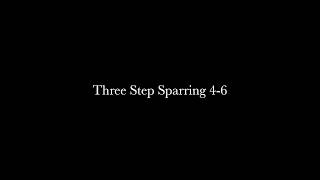 Three Step Sparring 4-6