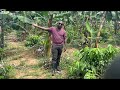 Episode 10: Money losses in Farming and how agroecology is the answer to profitability (Part One)
