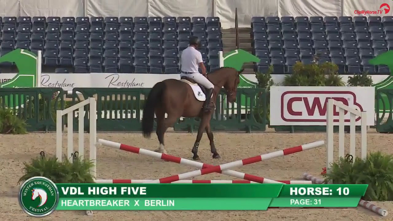 VDL High Five (Presentation WEF Sport horse Auction 23rd Feb 2021)