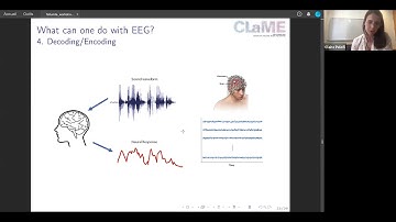 Claire Pelofi when to use EEG signals