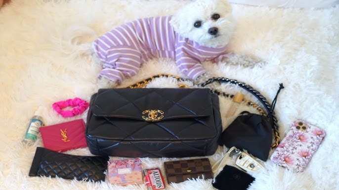 WHAT FITS IN MY CHANEL 19 BAG, WHATS IN MY BAG