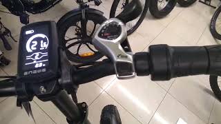 Engwe EP-2 Pro cruise control.