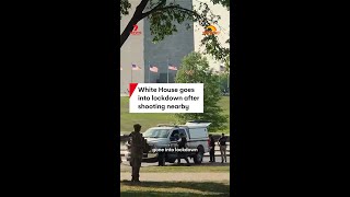 White House goes into lockdown after shooting on National Mall in Washington, DC