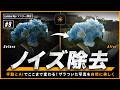 【 Luminar Neo マスター講座 #9 】ノイズ除去とシャープ化の正しいバランス｜AIと手動補正を徹底解説