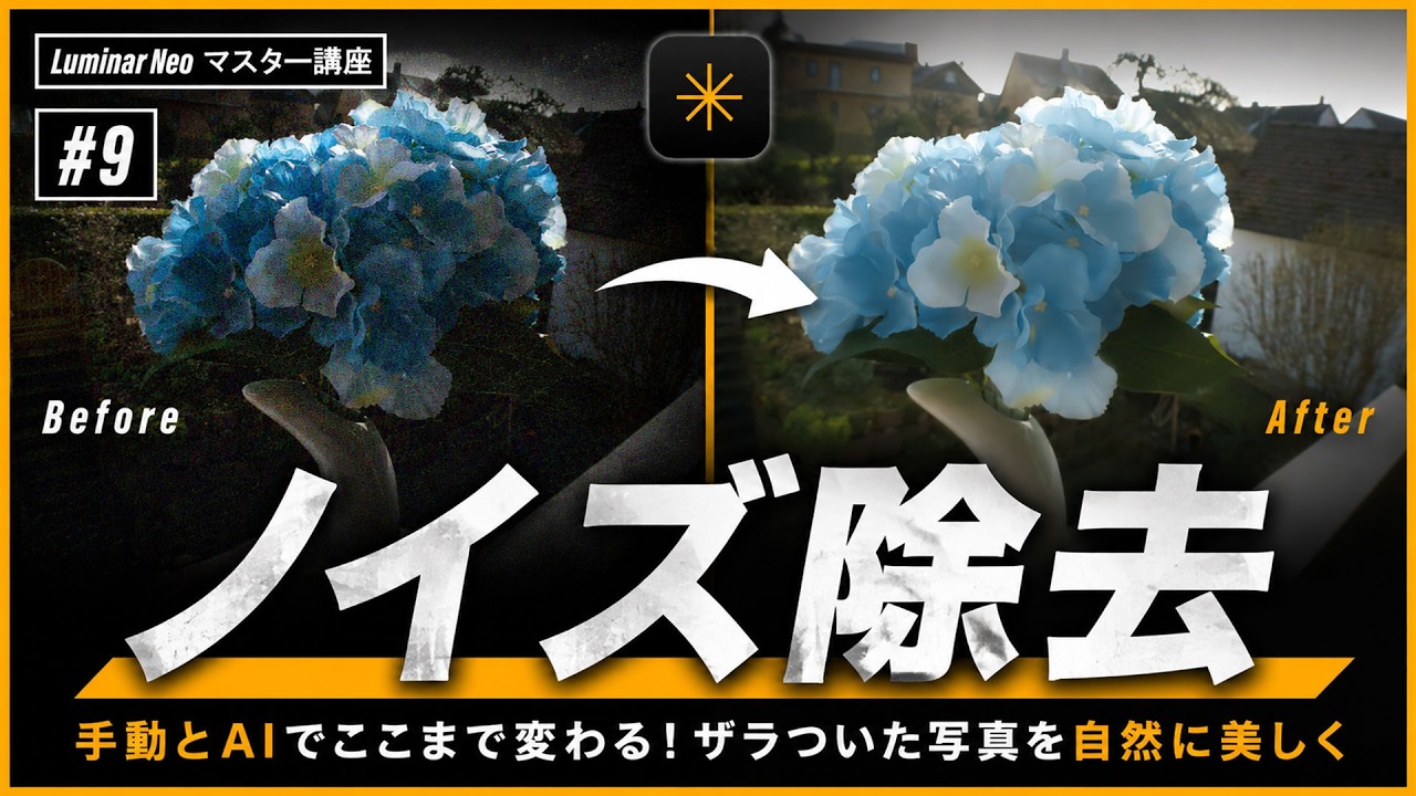 【 Luminar Neo マスター講座 #9 】ノイズ除去とシャープ化の正しいバランス｜AIと手動補正を徹底解説