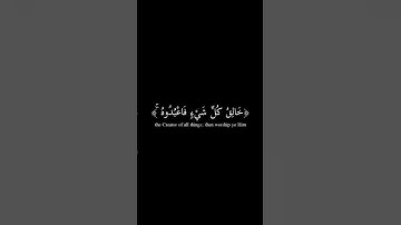 كروما شاشة سوداء للقرآن الكريم ❤️ للقارئ الشيخ ياسر الدوسري بخط النسخ 🎁