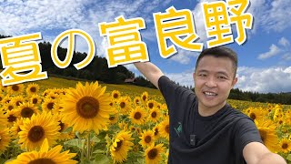 北海道｜富良野｜向日葵花田｜六花亭葡萄園 