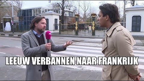 Leeuwen verlaten Amsterdam: 
