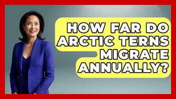How Far Do Arctic Terns Migrate Annually? - Polar Regions Uncovered