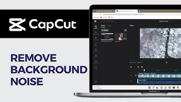 How To Remove Background Noise in CapCut PC in 2024 (Full Guide)