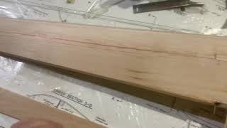St. Croix Models Burt Rutan Quickie quarter scale update 10/7/2020