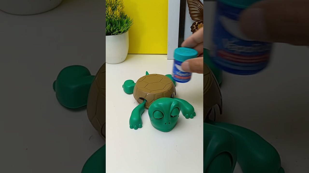 Cute adorable turtles - Turtle coaster 