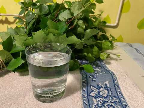 芬蘭桑拿浴｜Finnish Sauna #旅行喵