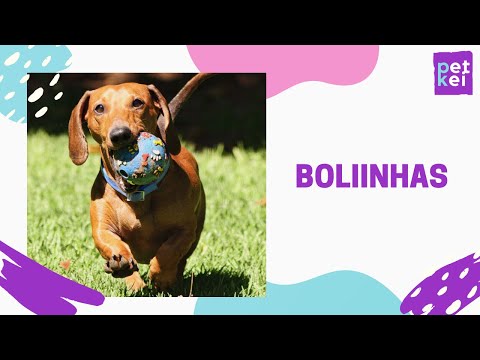 Brinquedos para CACHORROS