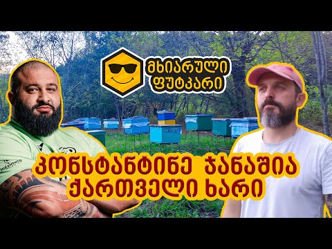 სტუმარი საფუტკრეში – კონსტანტინე ჯანაშია (ქართველი ხარი)