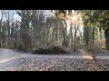 Quiet Moments by the Canal | Berlin Walking Observation (Teltow Canal)