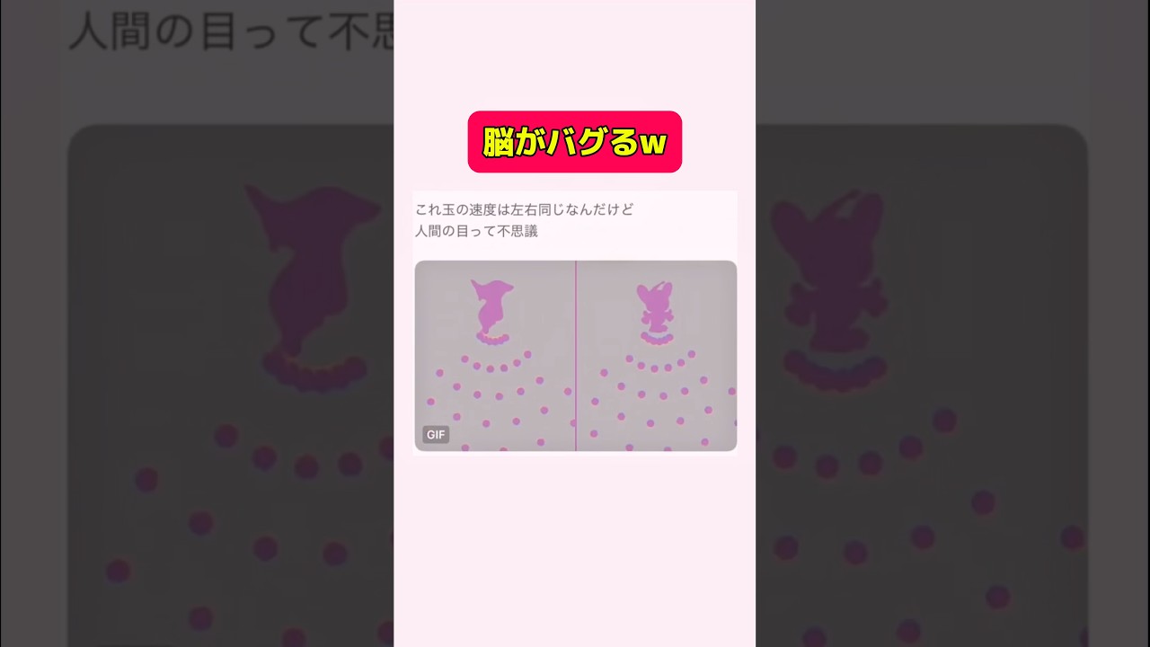 玉の速度同じらしい#shorts #おすすめ