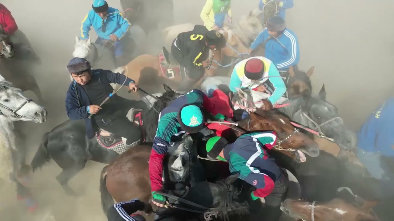 Т.Рысқұлов ауданы Аққойлы руының көкпары