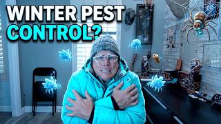 Do You Really Need Pest Control in an Arizona Winter?