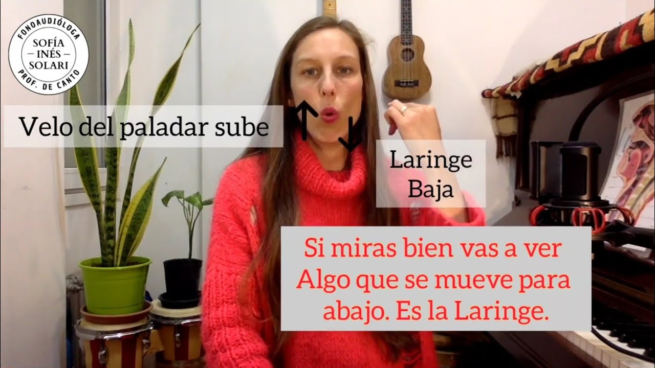 7. Laringe, velo del paladar, lengua y labios al cantar -  Lic. Sofía Inés Solari