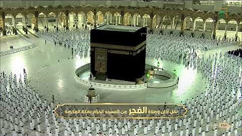 فجر الخميس 2-2-1443 هـ للشيخ بندر بليلة من سورة القصص