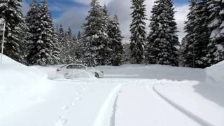 Snow-nuts