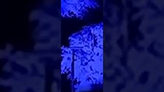 Run Run River  Angels Above Me Remix 