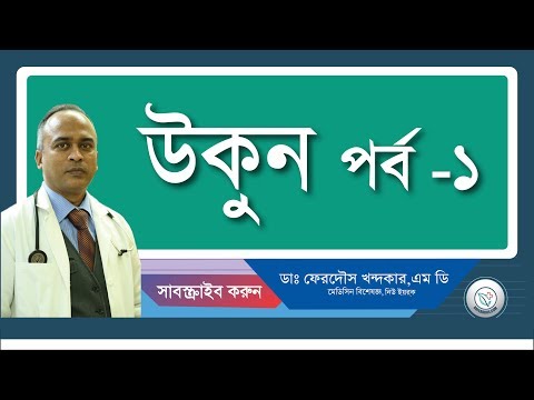 ভিডিও: বিড়ালগুলিতে উকুন বিটলস: ত্বকে উকুনের ফটো এবং তাদের ক্ষত সম্পর্কিত লক্ষণ, রোগ নির্ণয়, চিকিত্সা এবং বাড়িতে প্রতিরোধ