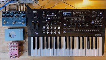 Ambient w/ Field Recordings, Prophet-10, wavestate, Tape Loop | Green Reflection 2025-02-09 by atnr