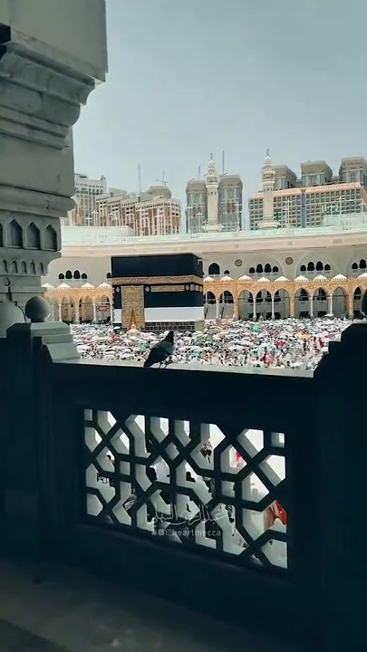 mashallah ❤️❤️❤️