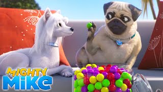 MIGHTY MIKE 🐶 Amnesia 🤕🍬 Episode 17 - Full Episode - Cartoon Animation for Kids