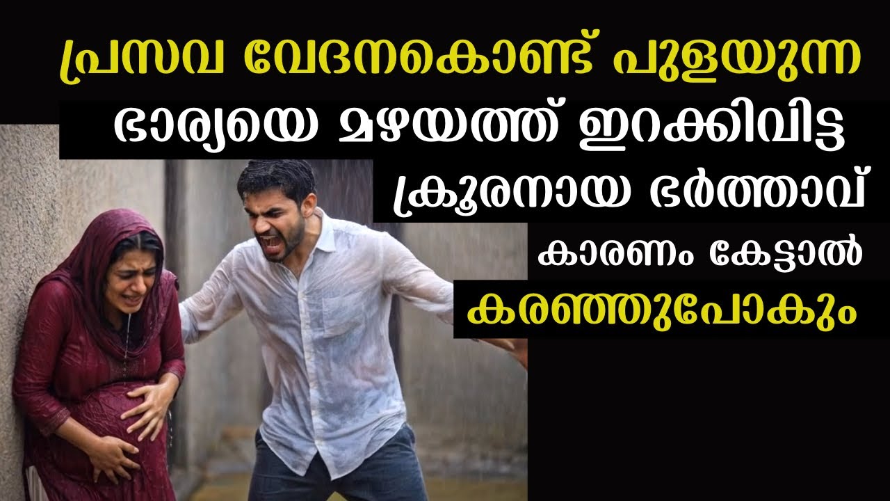 പൂർണ്ണ ഗർഭിണിയായ ഭാര്യയെ ഇറക്കിവിട്ട ഭർത്താവിന് പിന്നീട് സംഭവിച്ചതറിഞ്ഞ് ഞെട്ടി നാട്ടുകാർ | Story
